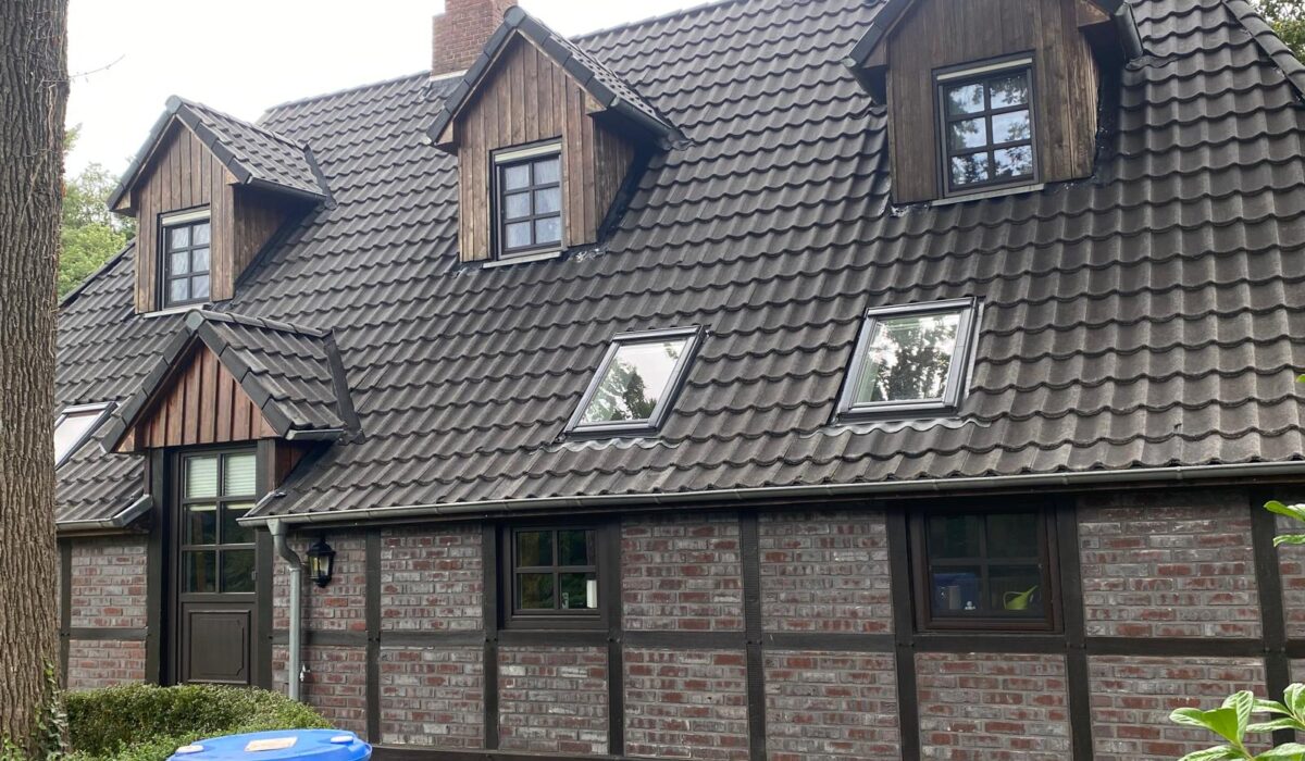 Dachreinigung & Dachbeschichtung