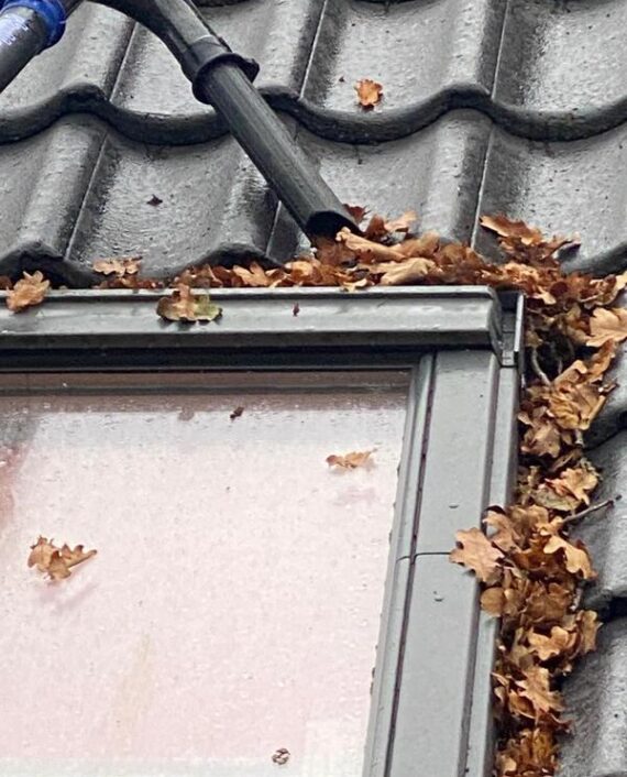 Dachrinnenreinigung Hausservice Schaab