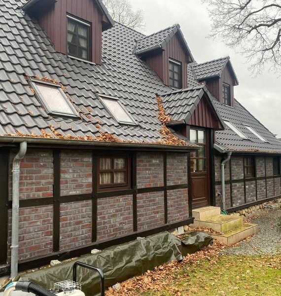 Dachrinnenreinigung Hausservice Schaab
